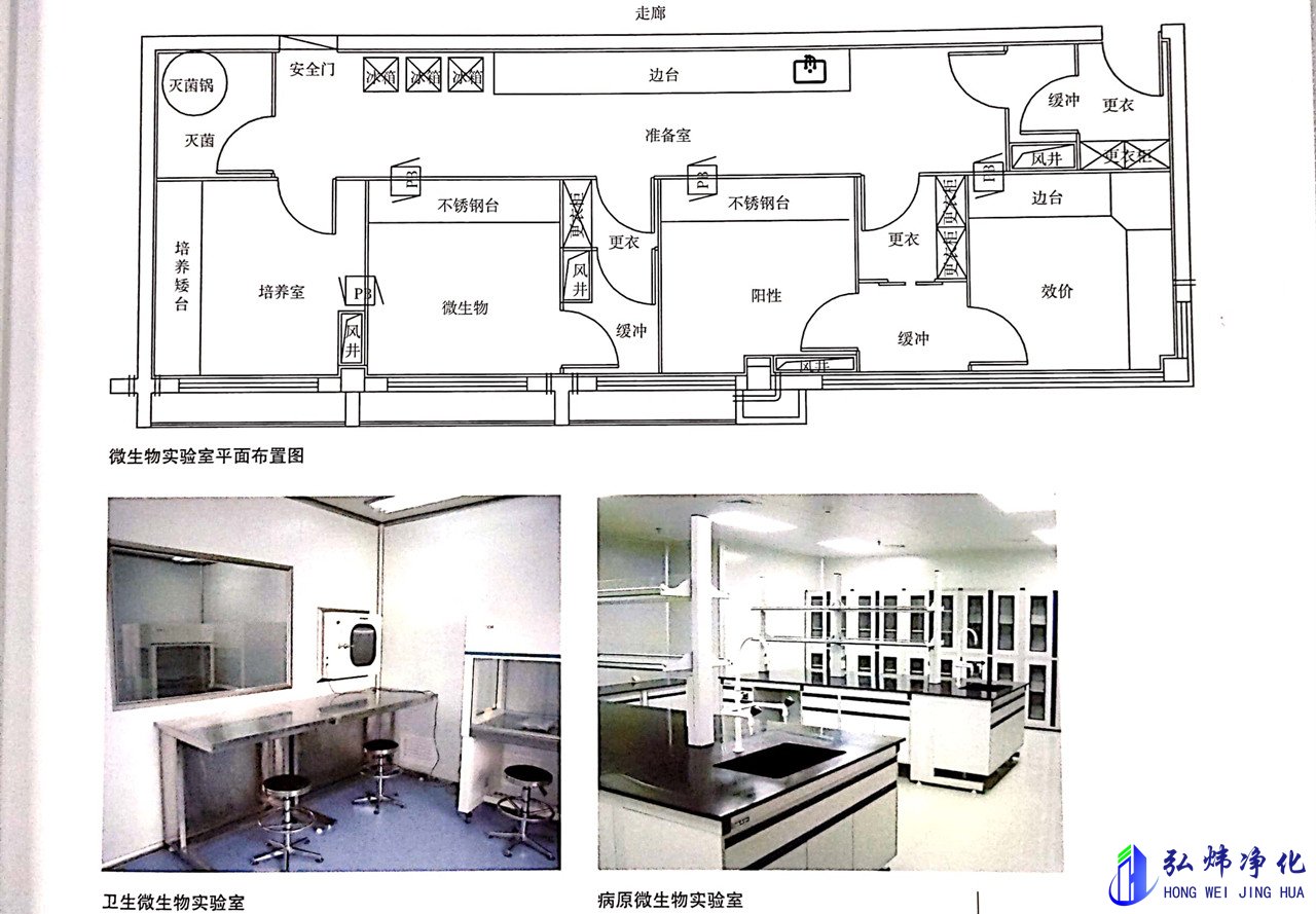 微生物实验室装修